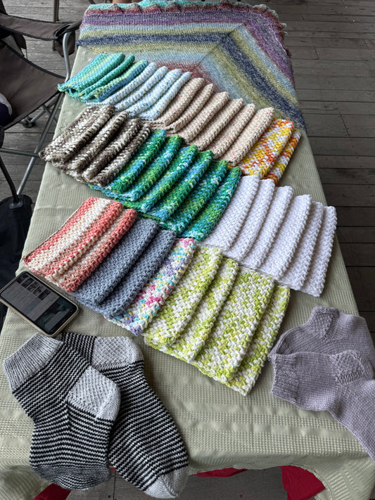 Beginner Knitting with Julie Bennett