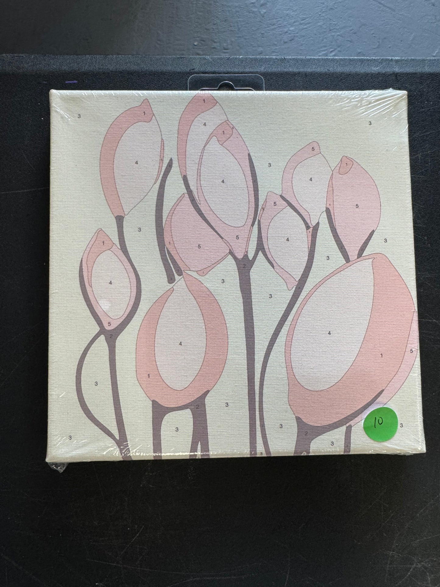 Canvas Paint by Number Kits-Florals