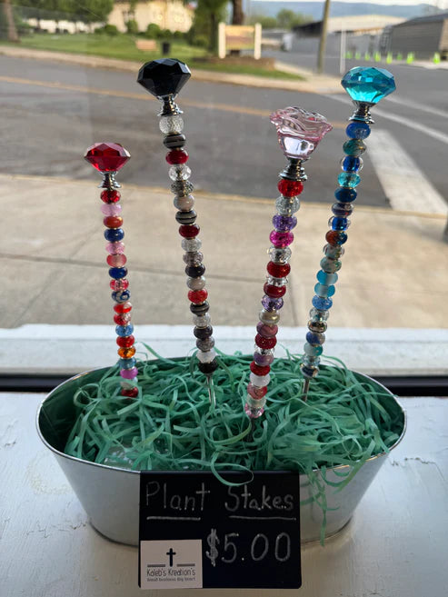 Kaleb's Kreations- Plant Picks