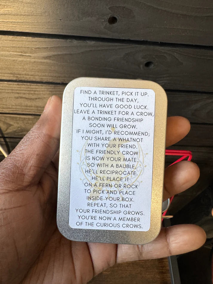 LWA-Curious Crow Trinket Box