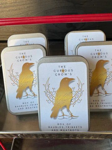 LWA-Curious Crow Trinket Box