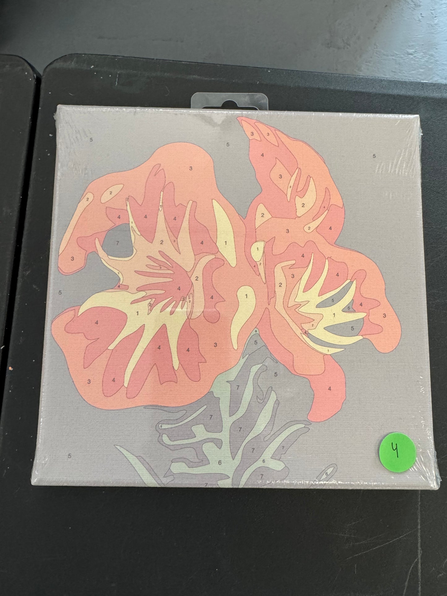 Canvas Paint by Number Kits-Florals