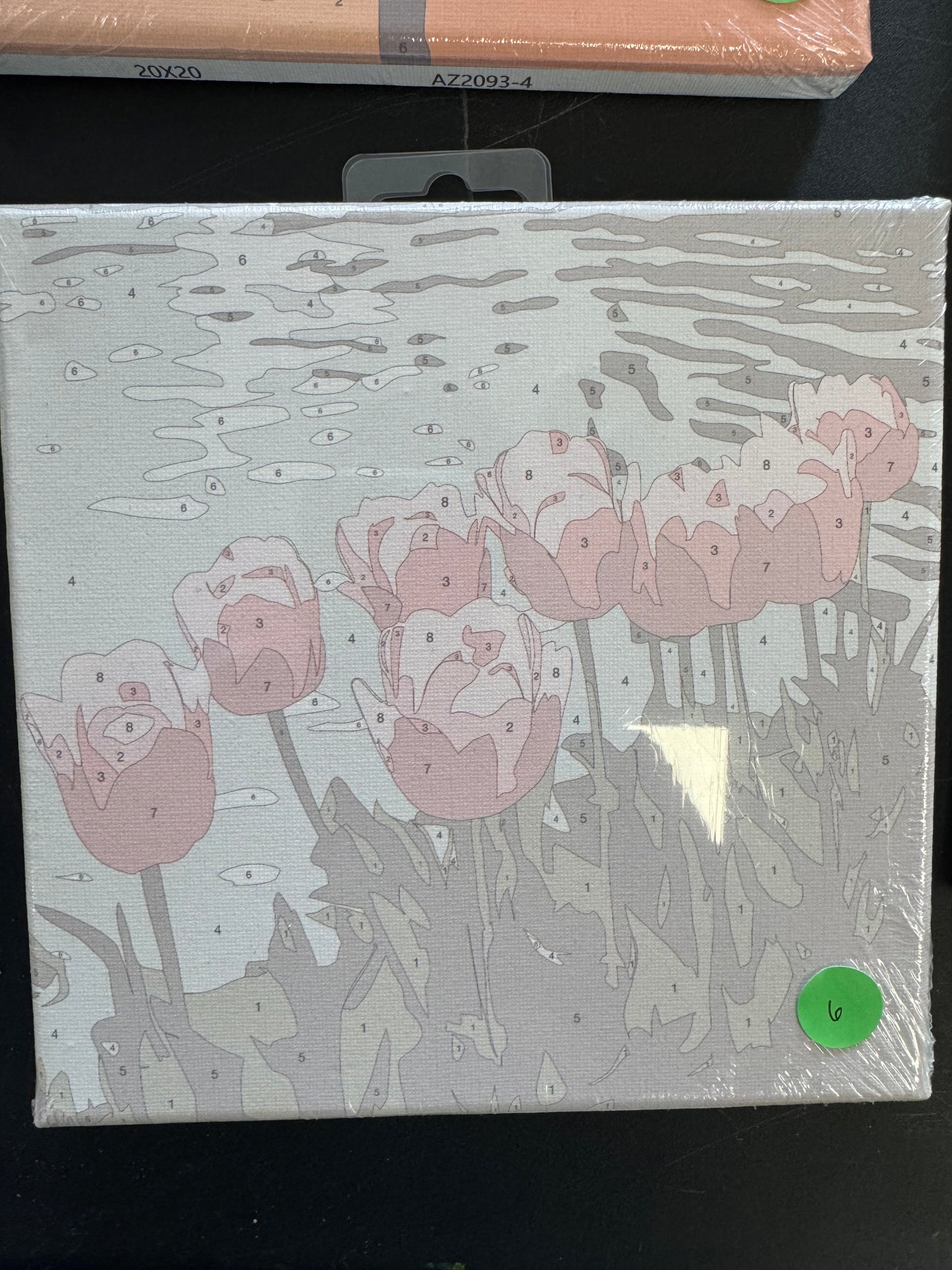 Canvas Paint by Number Kits-Florals
