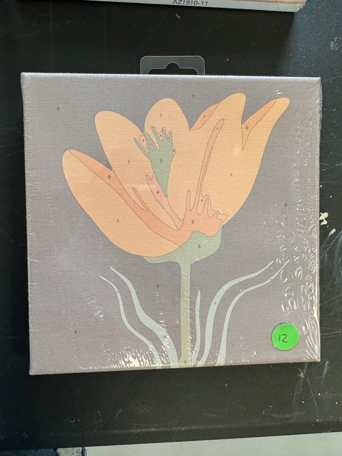 Canvas Paint by Number Kits-Florals
