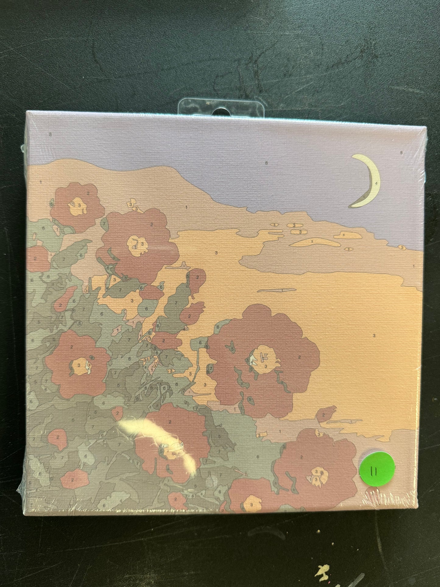 Canvas Paint by Number Kits-Florals